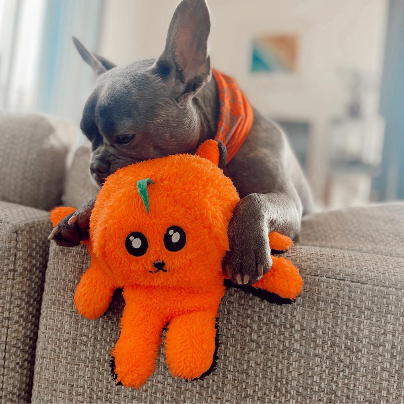 WufWuf Pawster Double-Faced, Squeaky Plush Dog Toy
