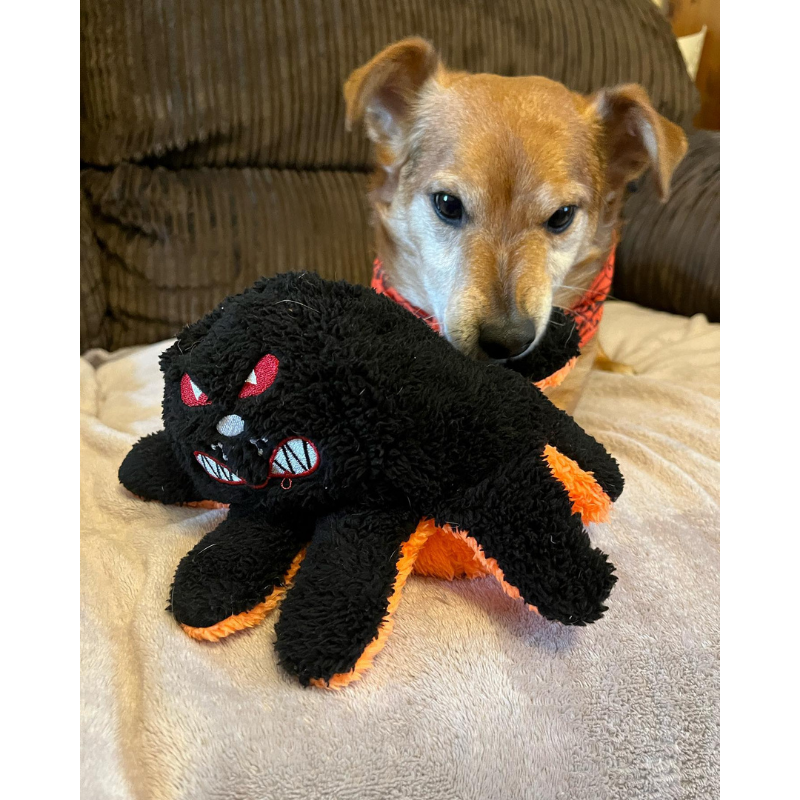WufWuf Pawster Double-Faced, Squeaky Plush Dog Toy