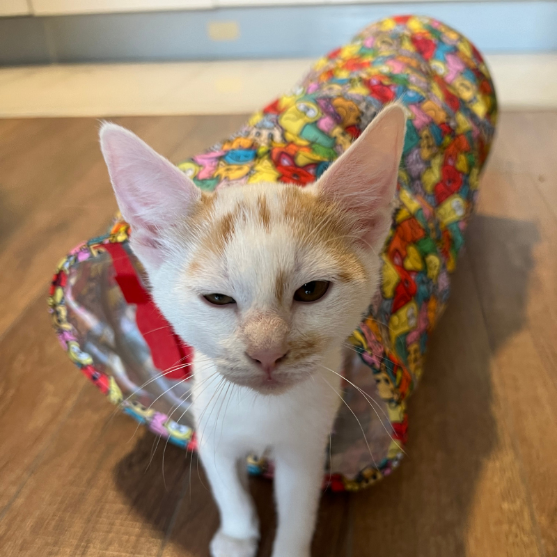 MyMeow - Fabric Cat Tunnel