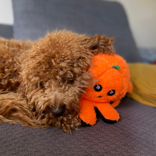 WufWuf Pawster Double-Faced, Squeaky Plush Dog Toy