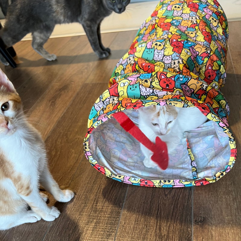 MyMeow - Fabric Cat Tunnel