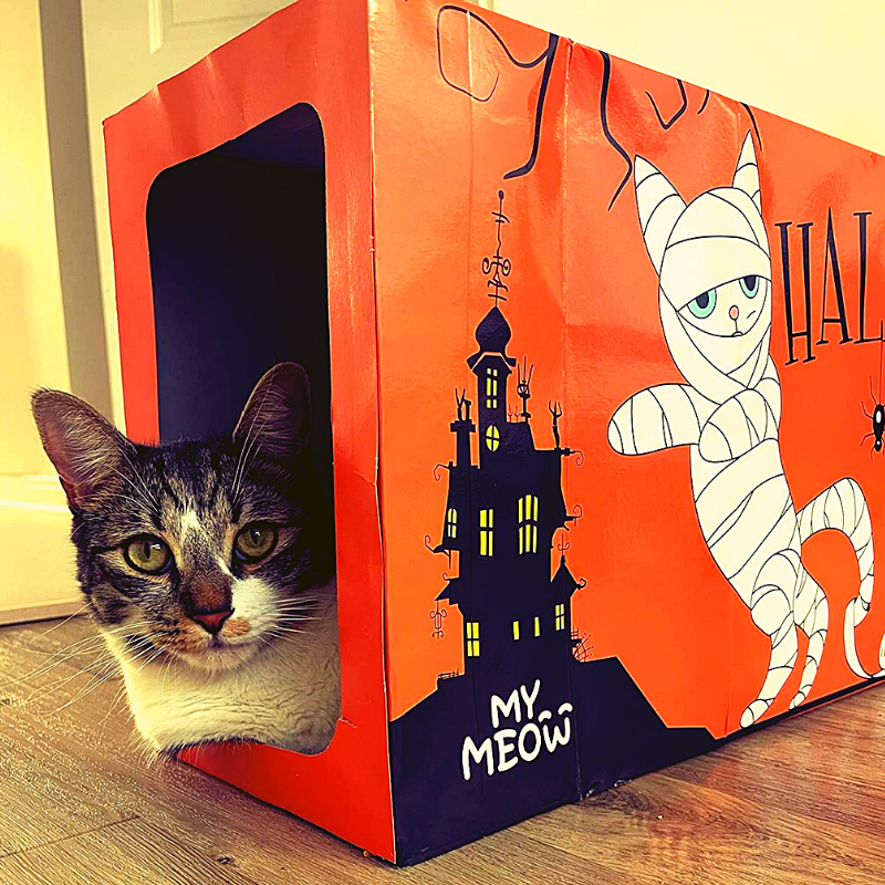 MyMeow - Cardboard Cat Tunnel