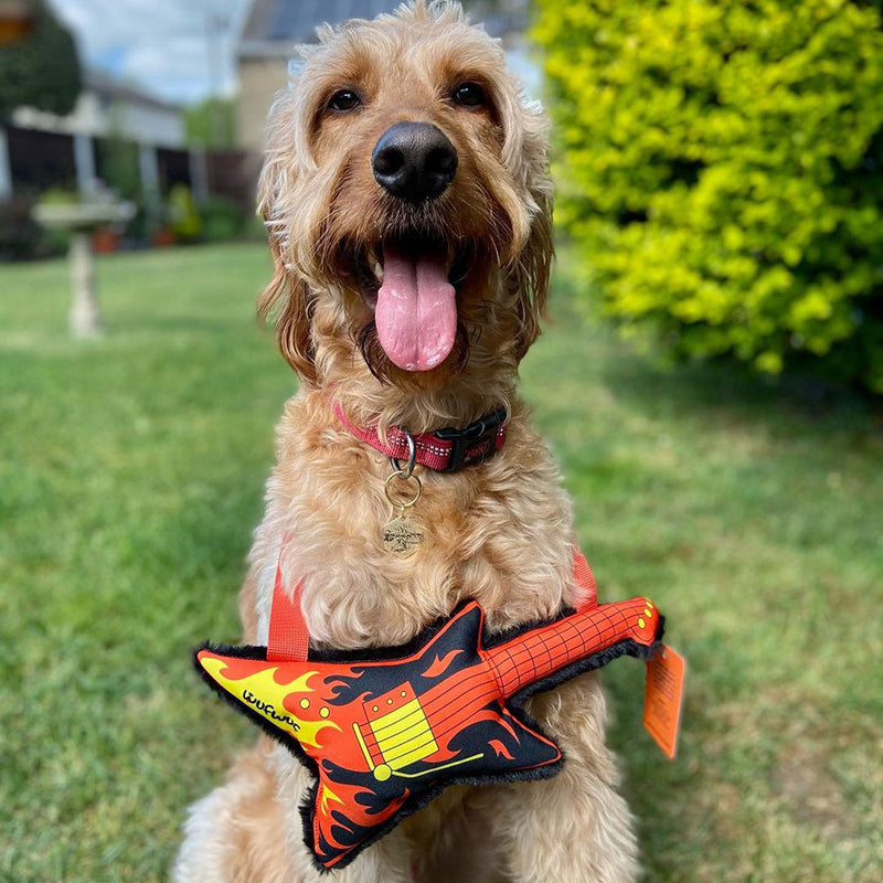 Wufwuf - Rottie Blackpaw's Guitar