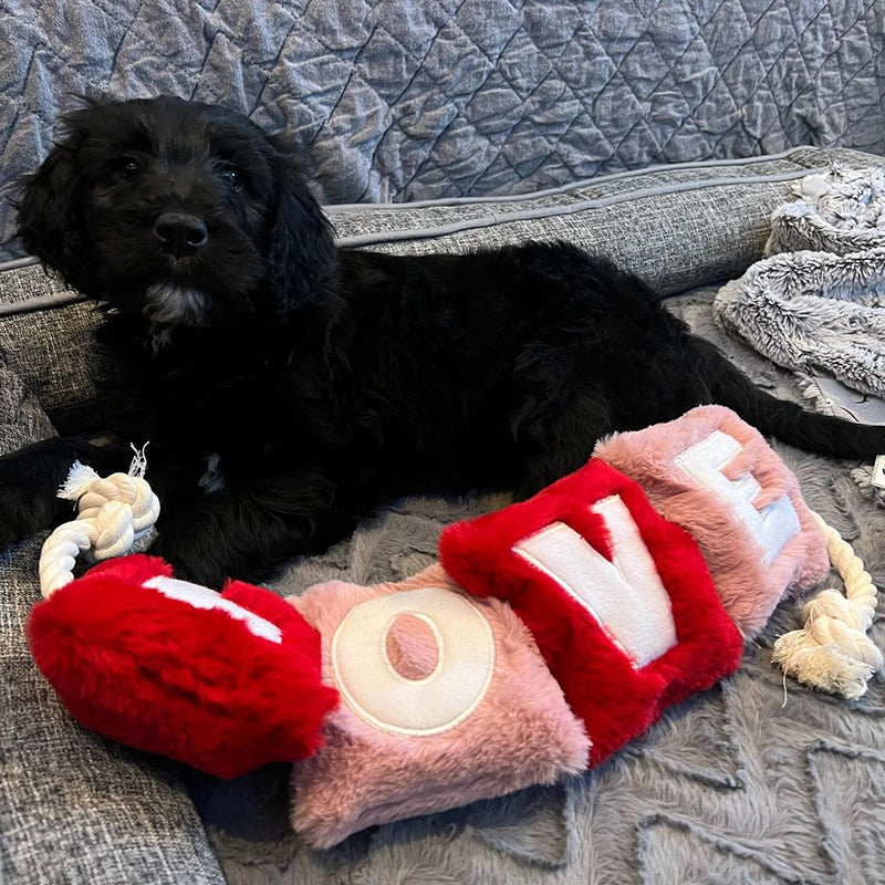 WufWuf - Love Rope Toy - Small