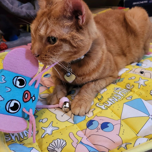 MyMeow - Mice Cube Catnip Toy