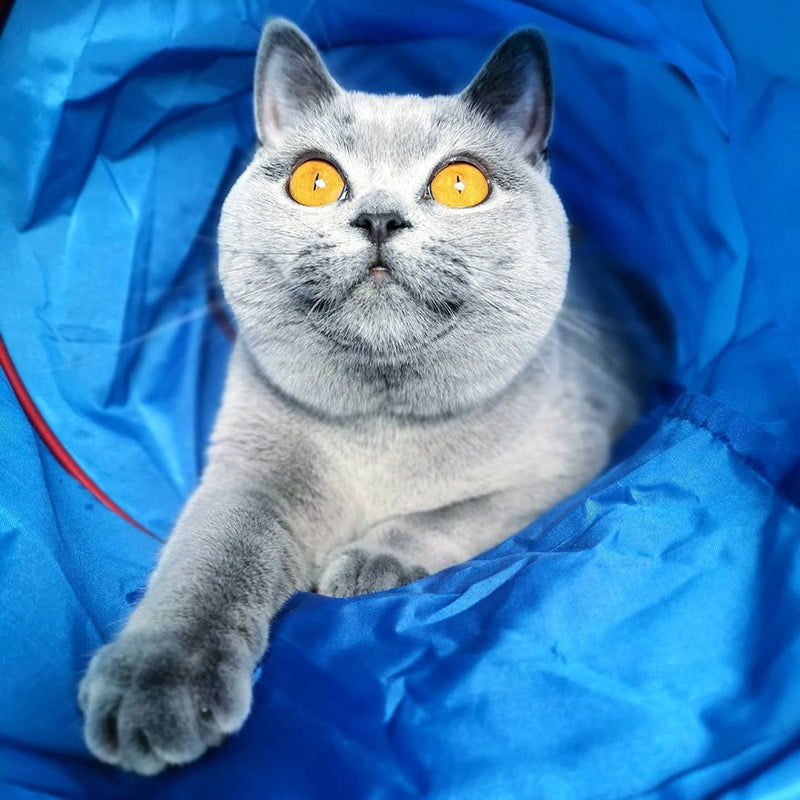 MyMeow - Cat Tunnel - Blue