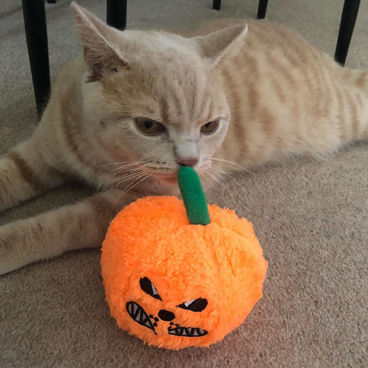 MyMeow Pumpkin Cat Plush Toy