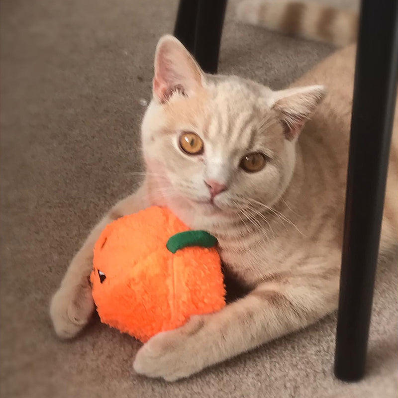 MyMeow Pumpkin Cat Plush Toy