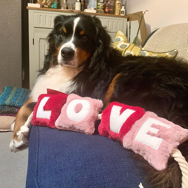 WufWuf - Love Rope Toy - Small