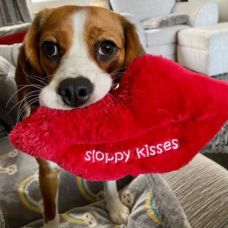 WufWuf - Sloppy Kisses Plush Toy