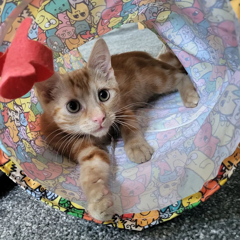 MyMeow - Fabric Cat Tunnel