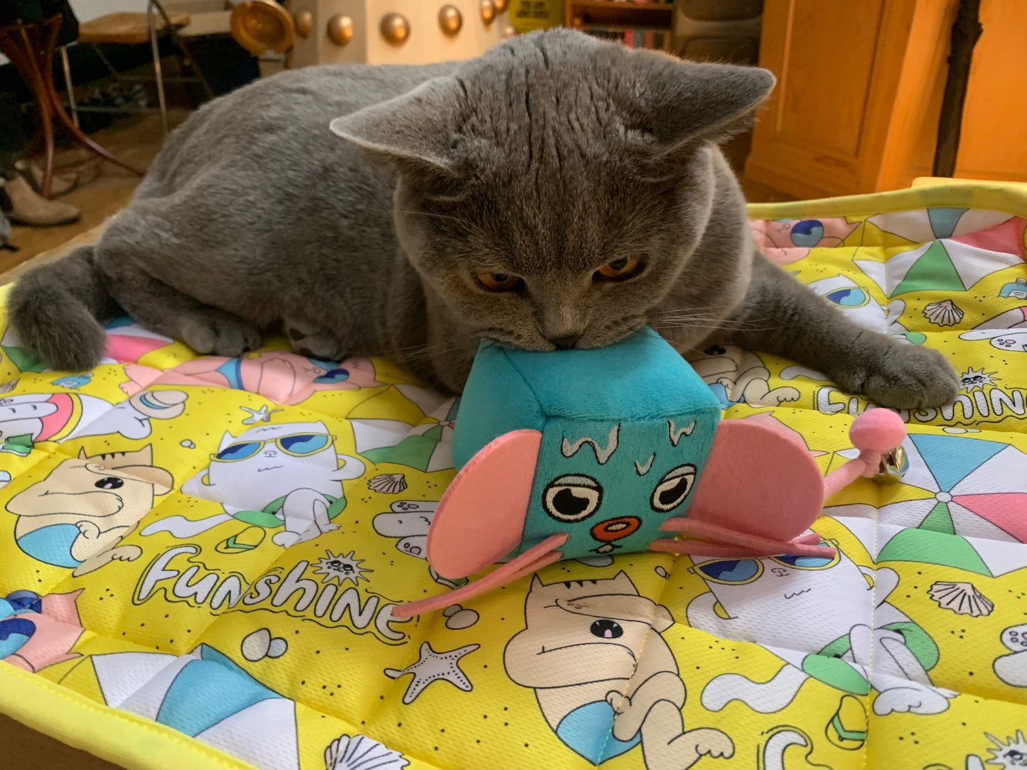 MyMeow - Mice Cube Catnip Toy