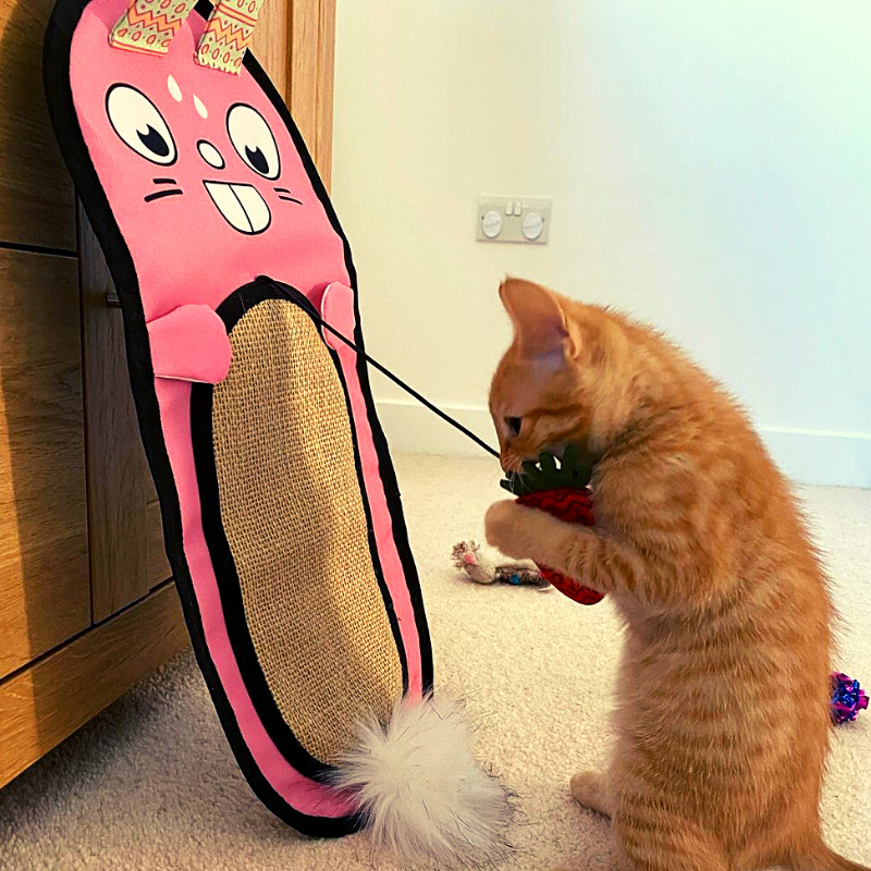 MyMeow - Bunny Scratcher