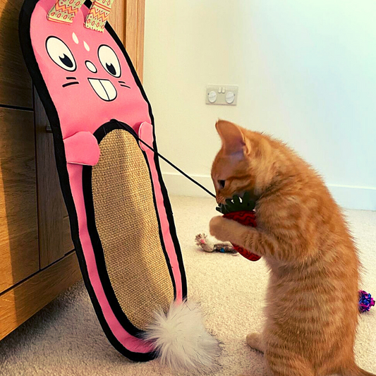 MyMeow - Bunny Scratcher