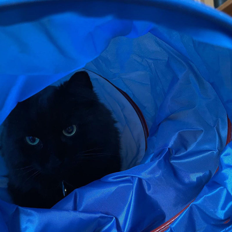 MyMeow - Cat Tunnel - Blue
