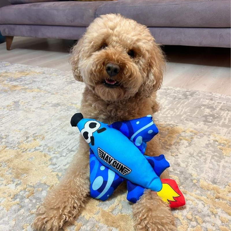 WufWuf WufAir Squeaky Plush Dog Toy