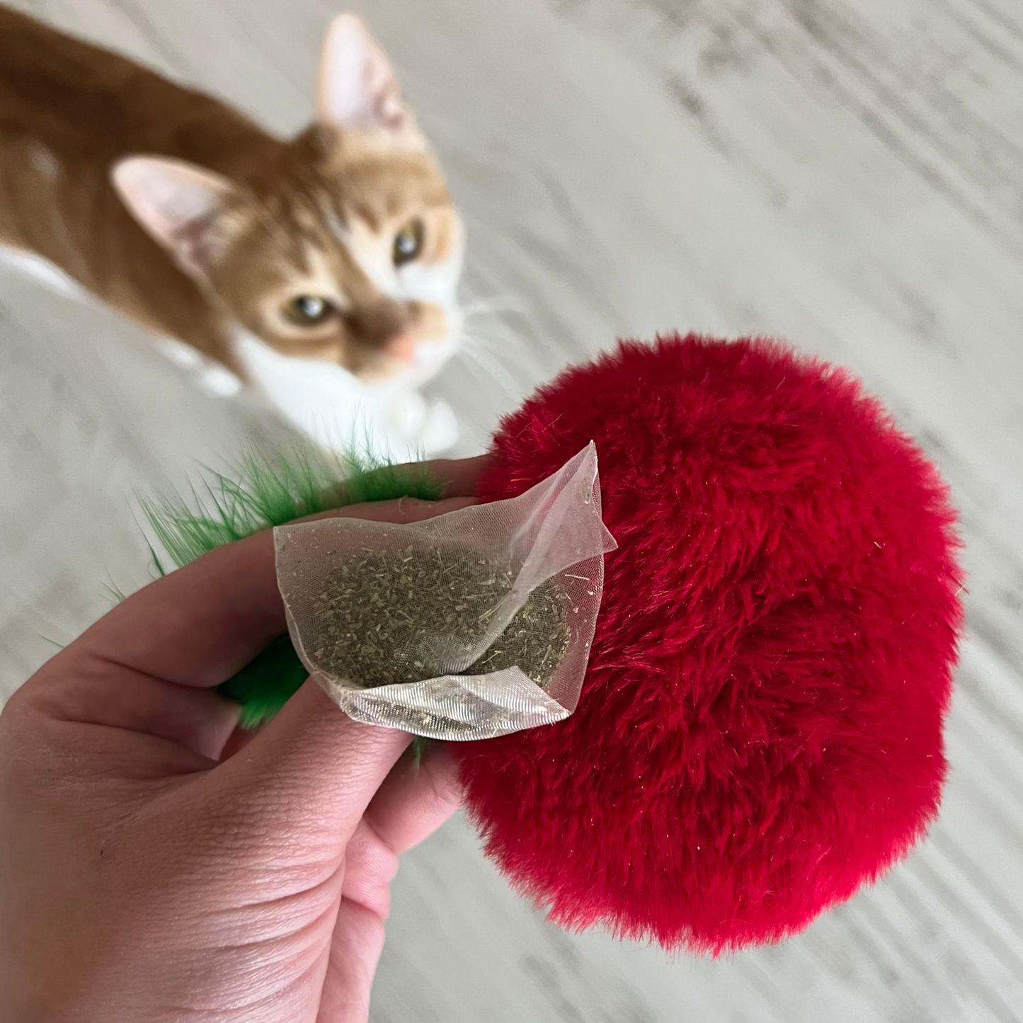 MyMeow Krazy Apple Refillable Cat Toy with 10 North American Natural Catnip Refill Bags