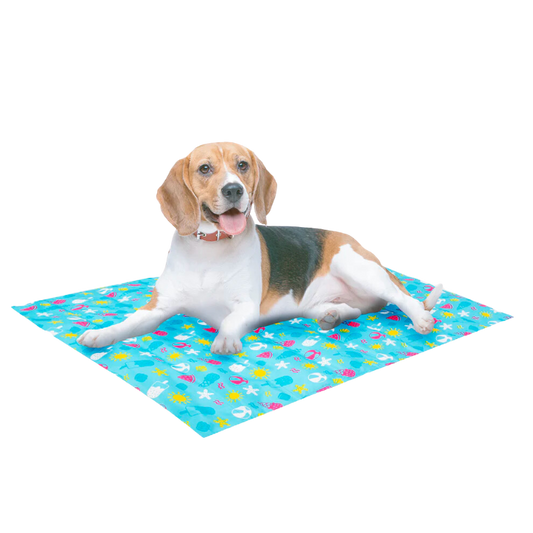 Smart Choice Pet Cooling Mat, Medium (61 cm x 76 cm)