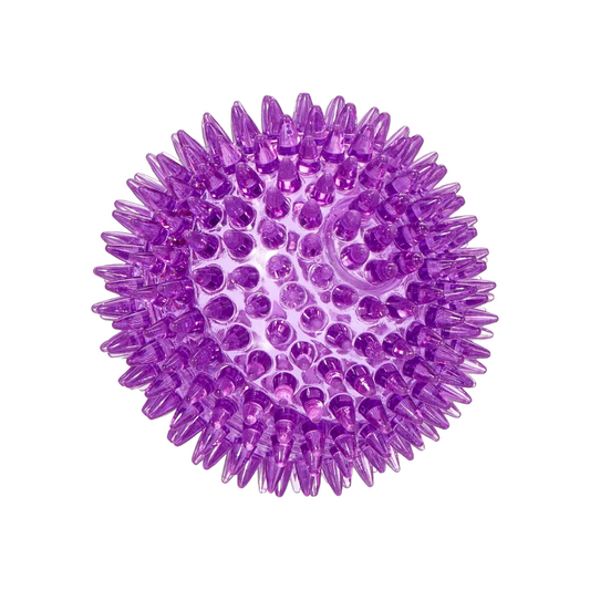 Rosewood Jolly Doggy Catch and Play Spikey Rubber Ball for Dogs, Purple