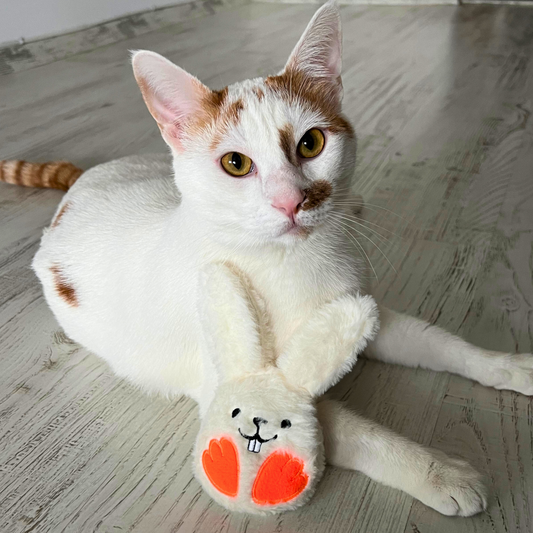 MyMeow Bunny-Kicks! Cat Plush Toy
