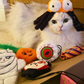 MyMeow Spooky Whiskers Halloween Cat Toy Bundle!