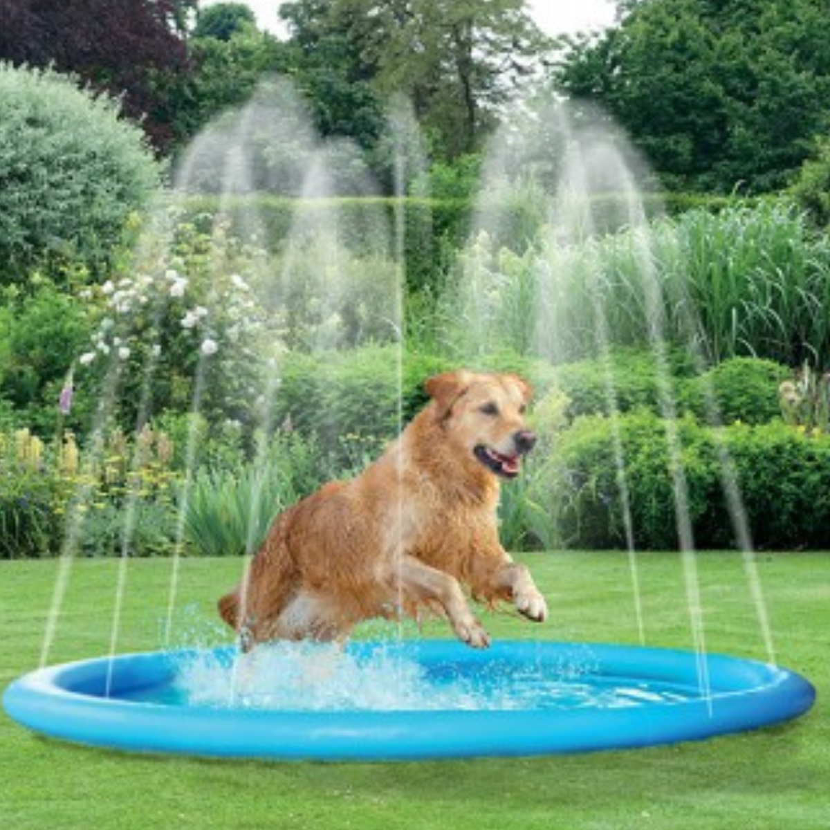 Kingdom Splash Pool & Sprinkler