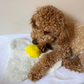 WufWuf Sunny-Side Squeak: The Fried Egg Plush Dog Toy