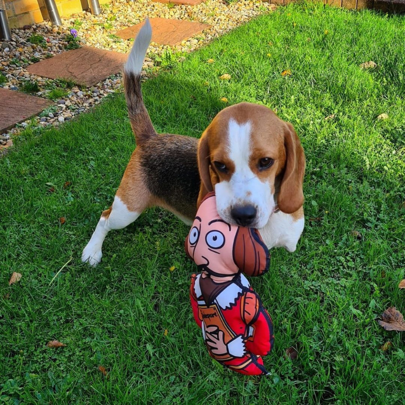 WufWuf - Shakespeare Dog Toy