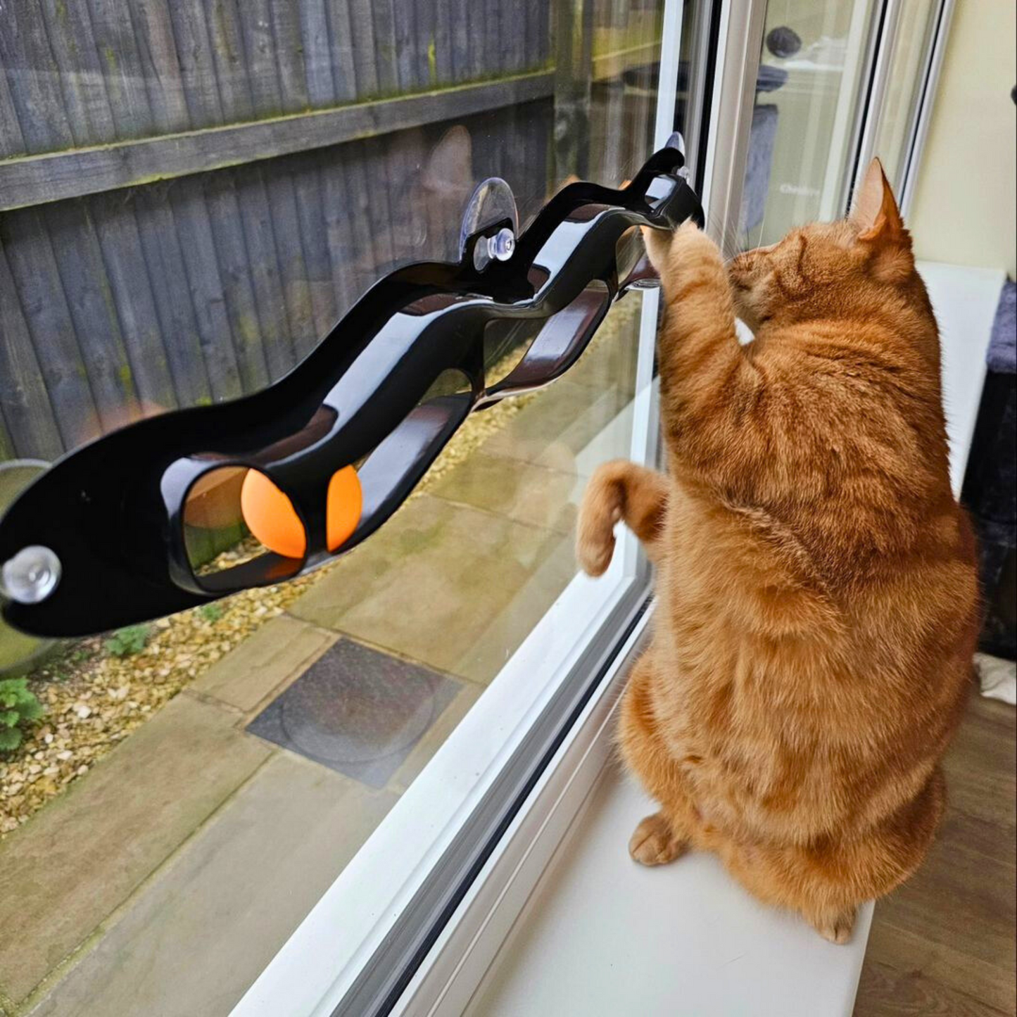 Smart Choice Interactive Window Track Cat Toy