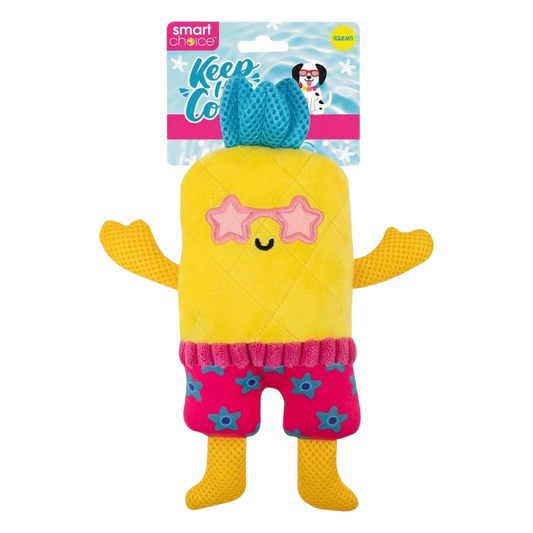 Smart Choice Pineapple Plush Dog Toy with Squeaker