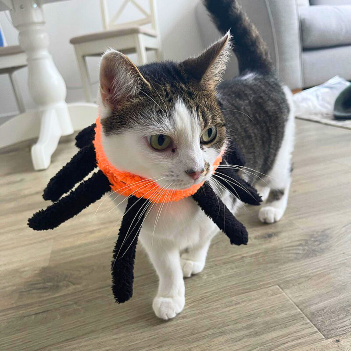 MyMoew Spooky Purrfection: Halloween Cat Toy Bundle