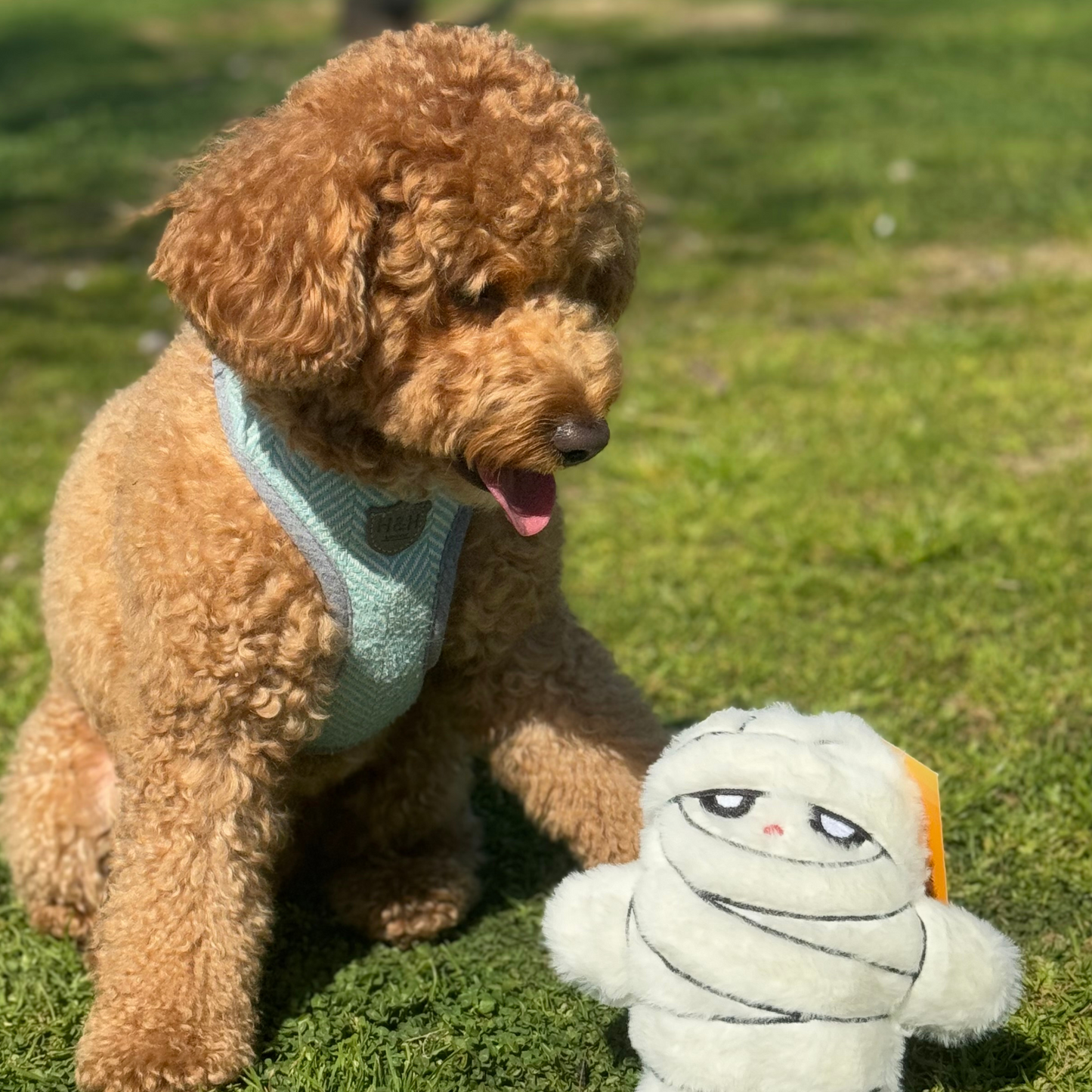 WufWuf Mummy Plush Dog Toy with Crinkle, It's a 'wrap' of joy!