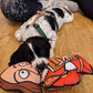 WufWuf Shakespeare Squeaky Plush Dog Toy, The Bard's Bark!