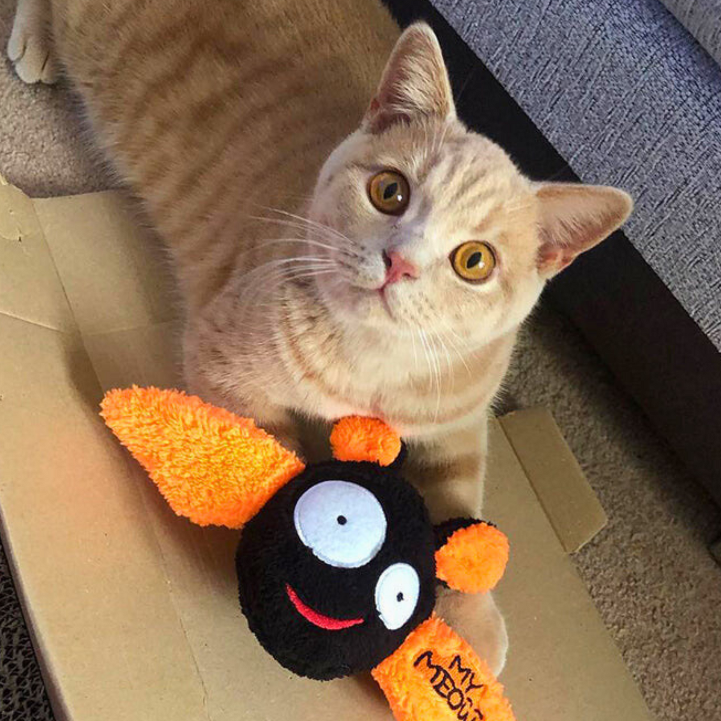 MyMoew Spooky Purrfection: Halloween Cat Toy Bundle