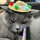 World of Pets Straw Hat Cat Toy with Catnip