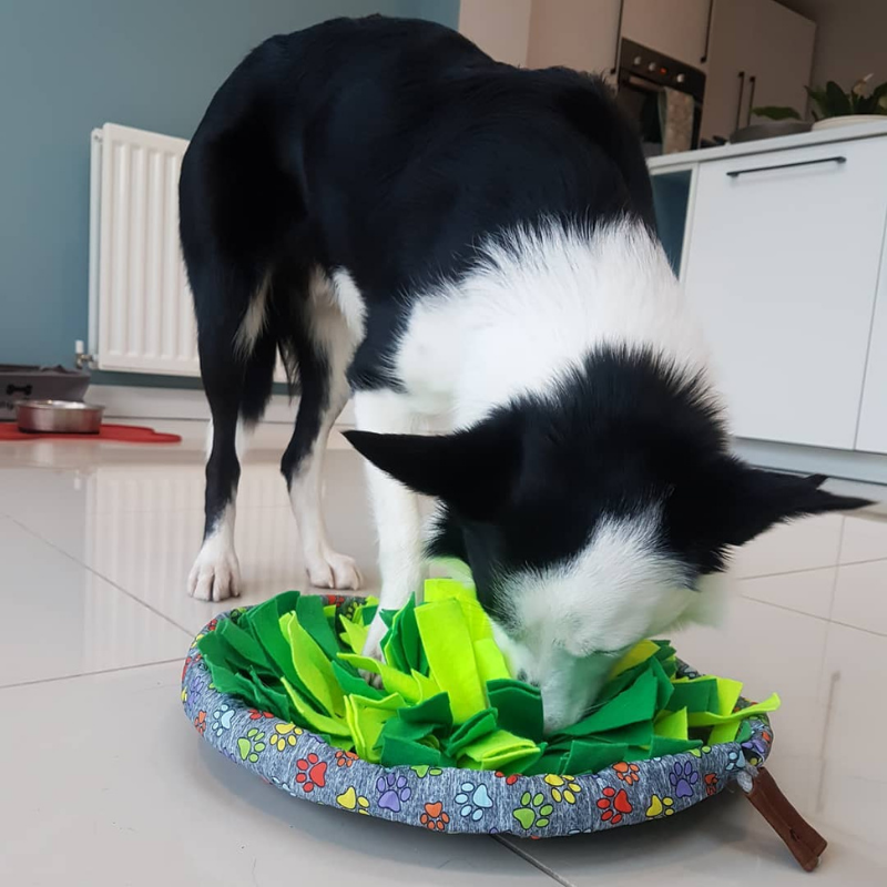 WufSalad - Snuffle Mat - Interactive Dog Toy