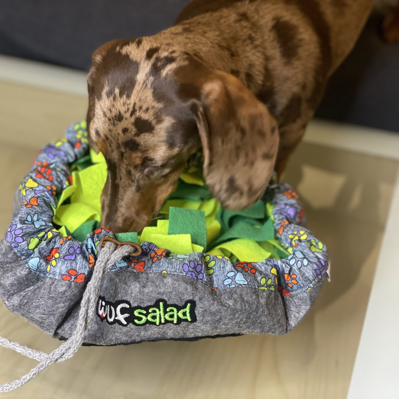 WufSalad - Snuffle Mat - Interactive Dog Toy