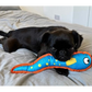 Smart Choice Floating Summer Fish Plush Dog Toy,  Eddie Eel