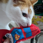 MyMeow SuperHeroes, SuperMeow Plush Toy, and BatMeow Finger Teaser Cat Toy