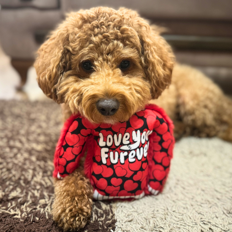 WufWuf Love You Furever Squeaky Plush Dog Sweater Toy, Large