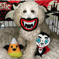 WufWuf Halloween Theme Vampire Fangs Plush Chew Toy