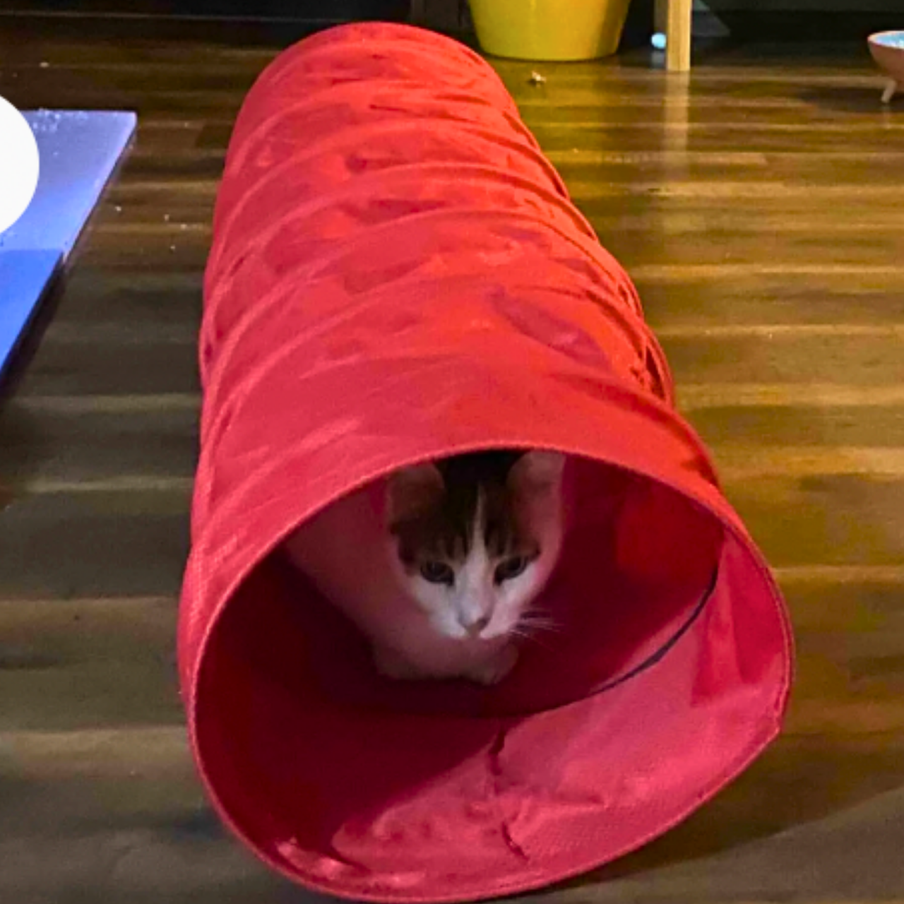 MyMeow Interactive Strengthened Red Long Tunnel 125cm
