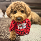 WufWuf Love You Furever Squeaky Plush Dog Sweater Toy, Small/Medium