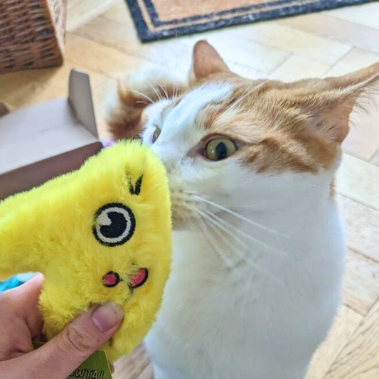 MyMeow Emmeowtal Delight: Plush Cheese for Cats