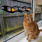 Smart Choice Interactive Window Track Cat Toy