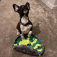 WufSalad - Snuffle Mat - Interactive Dog Toy