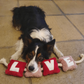 WufWuf - Love Rope Toy - Large