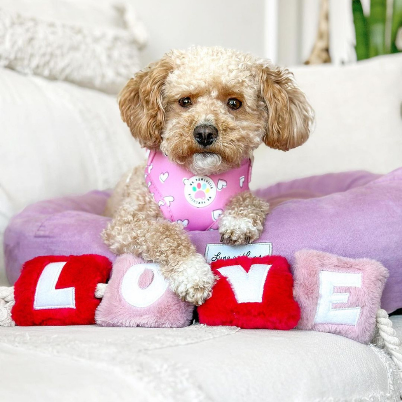 WufWuf - Love Rope Toy - Small