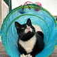 Smart Choice Cat Play Tunnel with Interactive Ball Toys