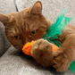 MyMoew Spooky Purrfection: Halloween Cat Toy Bundle